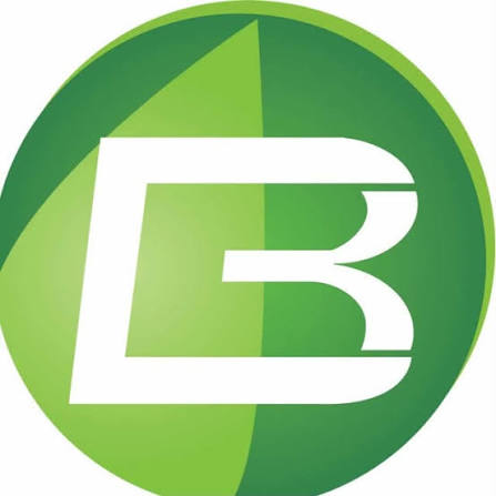 Logo de Grupo Borelli, cliente B&amp;P Advisory Business &amp; People Consulting